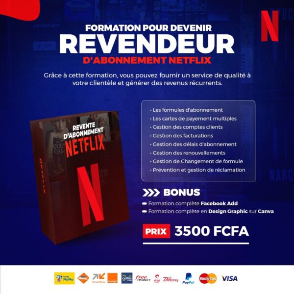 Formation pour devenir le meilleur revendeur d'abonnement Netflix